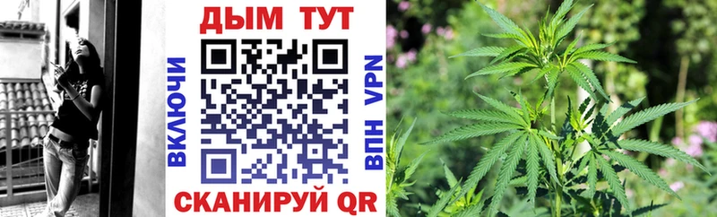 Марихуана сатива  Купить закладки  Норильск 